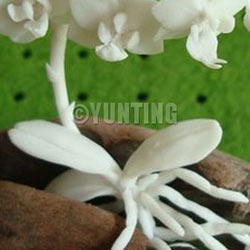 Mini Sculpture